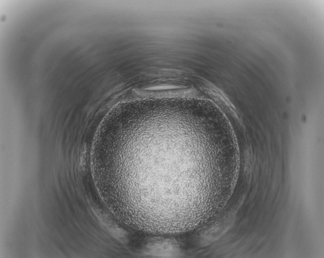 X0000087560073200705041403