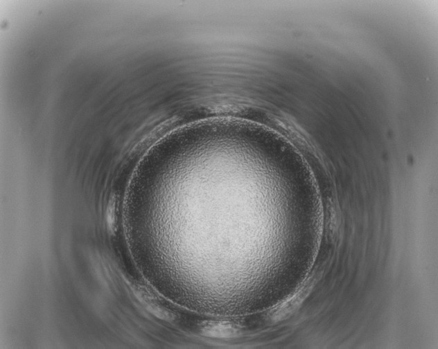 X0000087560074200705041403