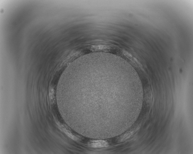 X0000087560087200705041404