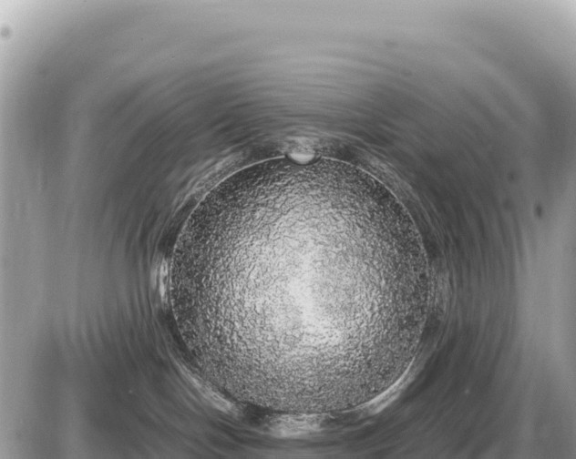 X0000087560094200705041404