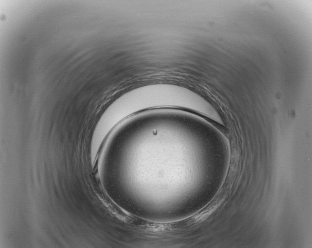 X0000087560096200705041404