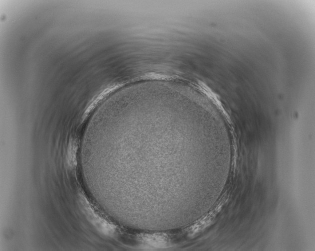 X0000087560106200705041403