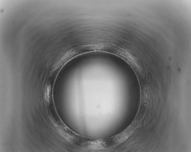 X0000087560118200705041403