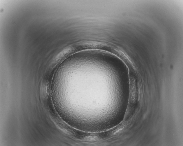 X0000087560119200705041403