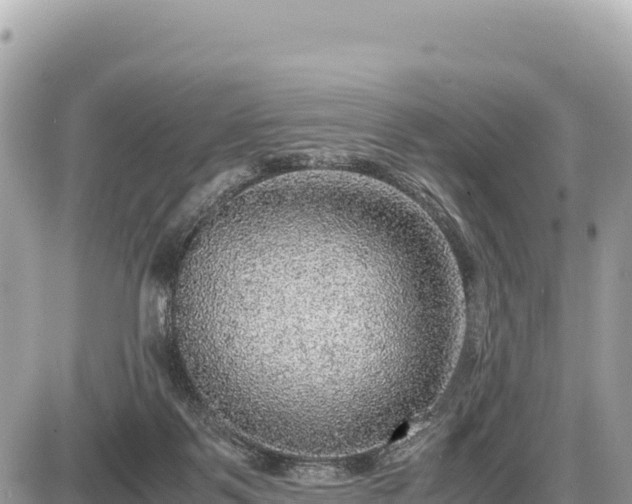 X0000087560123200705041403