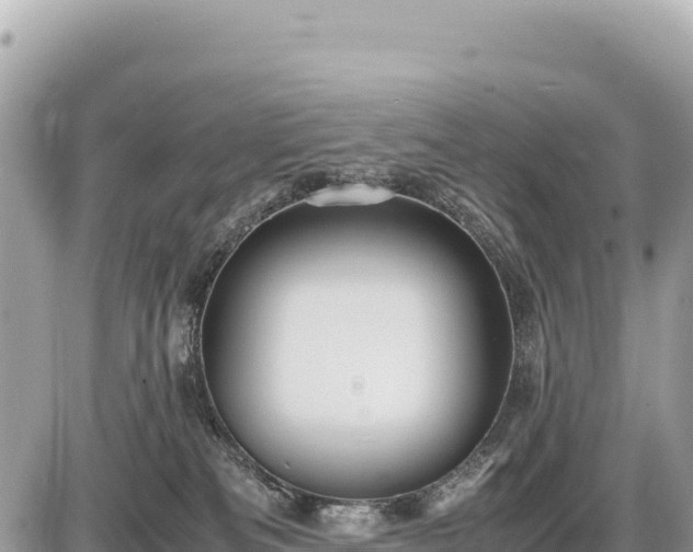 X0000087560133200705041402