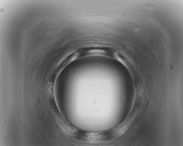 X0000087560141200705041402
