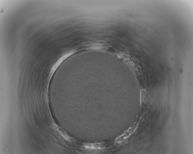 X0000087560147200705041401