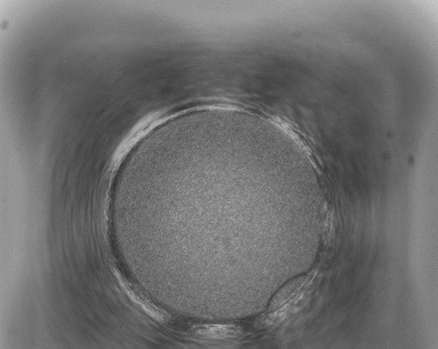 X0000087560151200705041402
