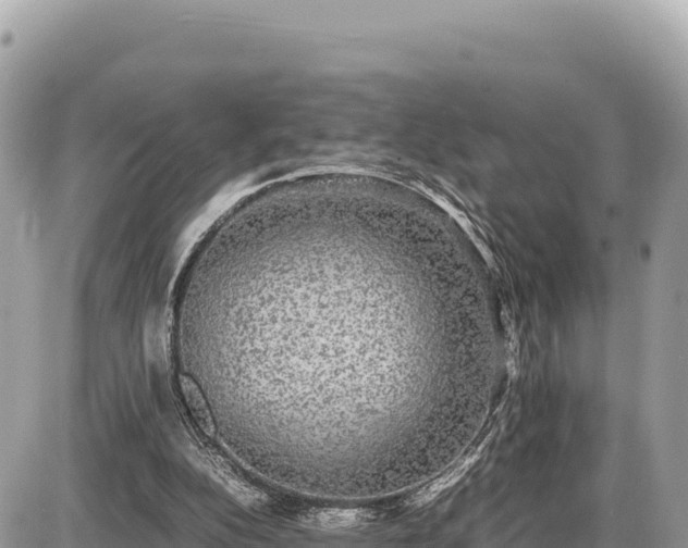 X0000087560152200705041402