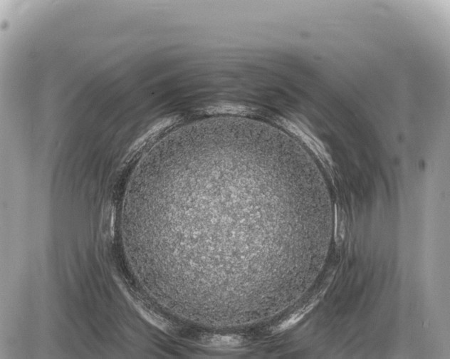 X0000087560157200705041402