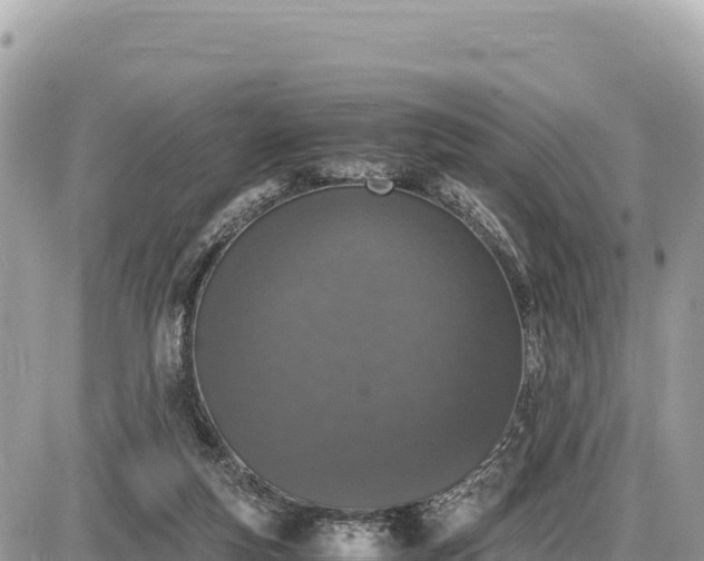 X0000087560163200705041402