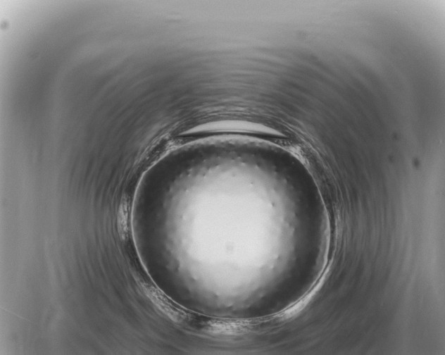 X0000087560190200705041402