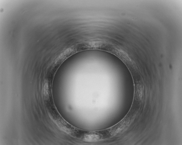 X0000087560220200705041401