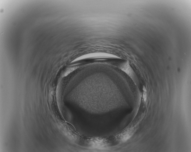 X0000087560235200705041401