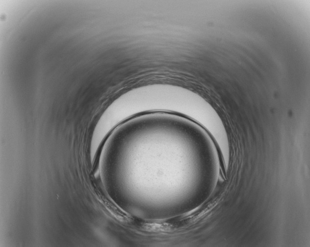 X0000087560239200705041401