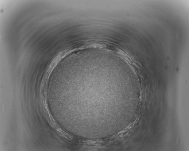 X0000087560241200705041400