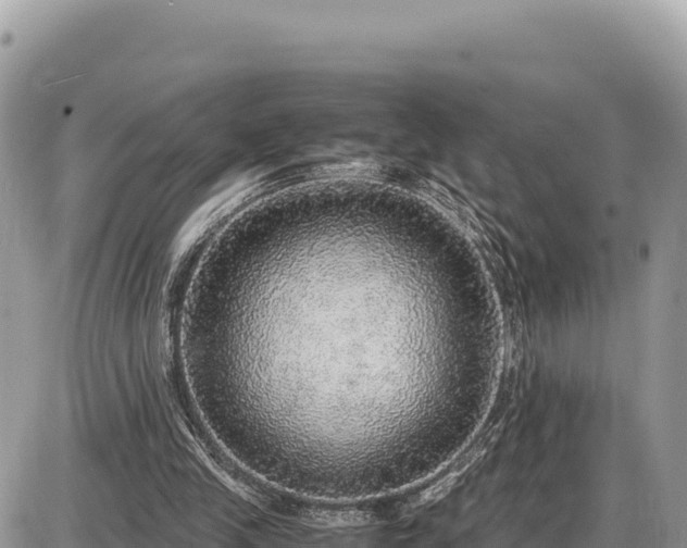 X0000087560245200705041400