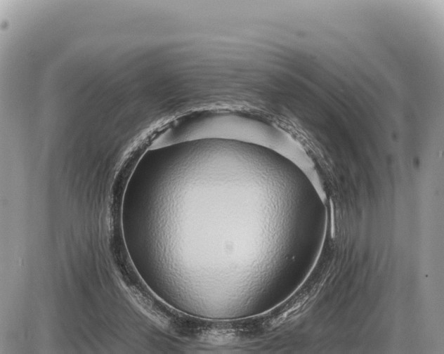 X0000087560252200705041400