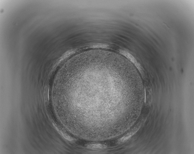 X0000087560253200705041400
