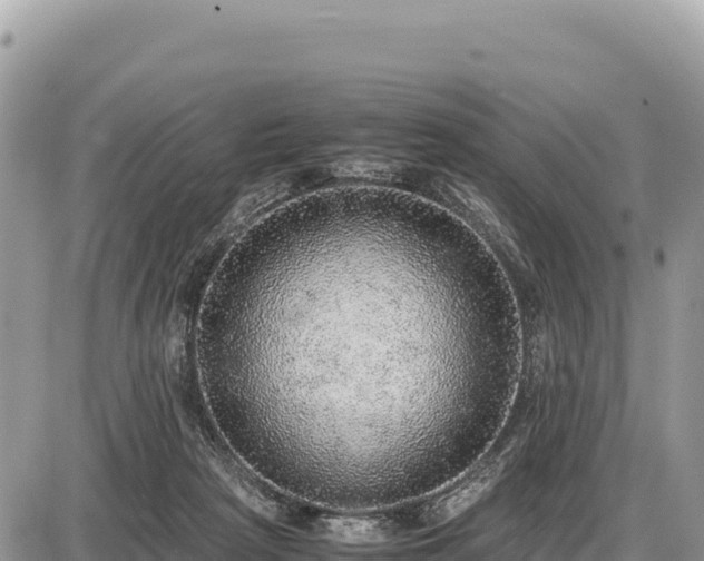 X0000087560265200705041400