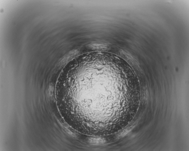 X0000087560281200705041400