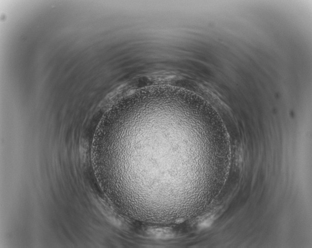 X0000087560283200705041401