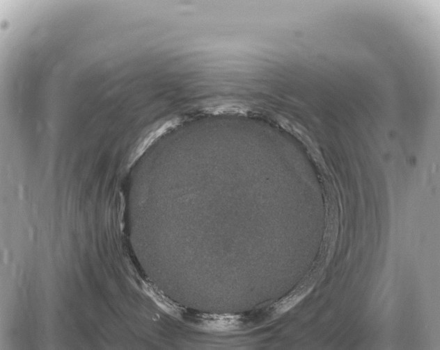 X0000087560288200705041401