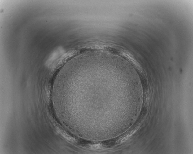 X0000087560309200705041400
