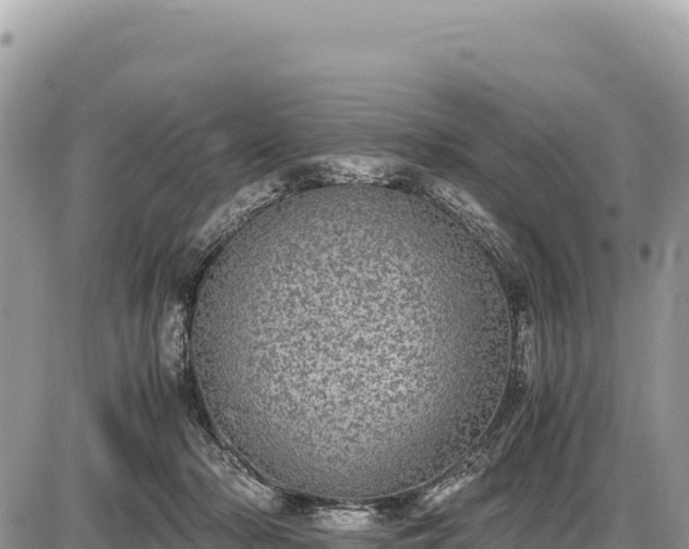 X0000087560318200705041359