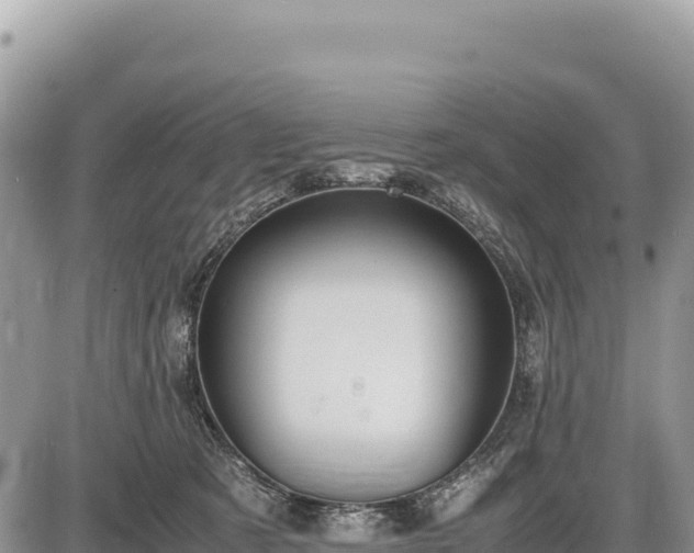 X0000087560321200705041359