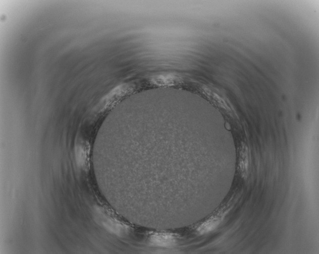 X0000087560332200705041359