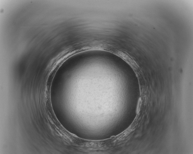 X0000087560338200705041358