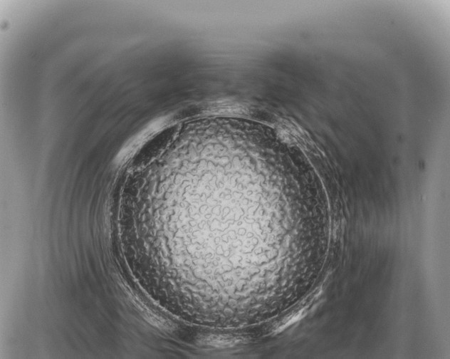 X0000087560341200705041358