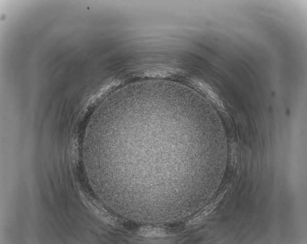 X0000087560354200705041359