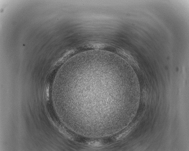 X0000087560358200705041359