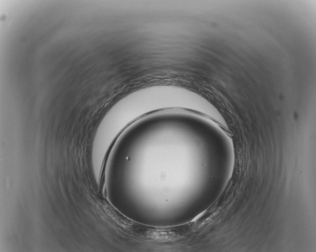 X0000087560372200705041359
