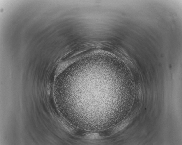 X0000087560374200705041359