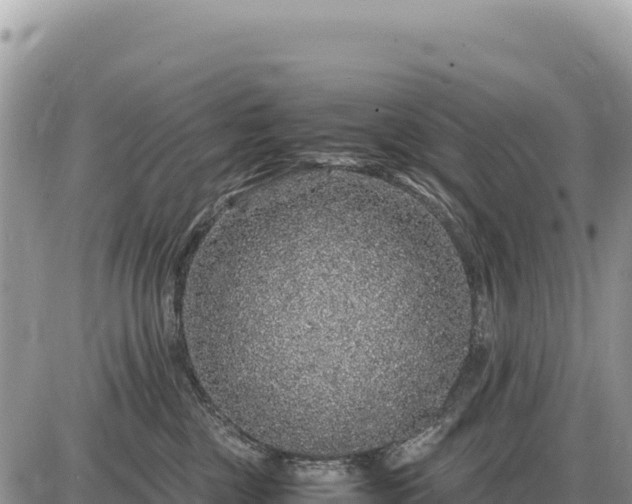 X0000087560377200705041359