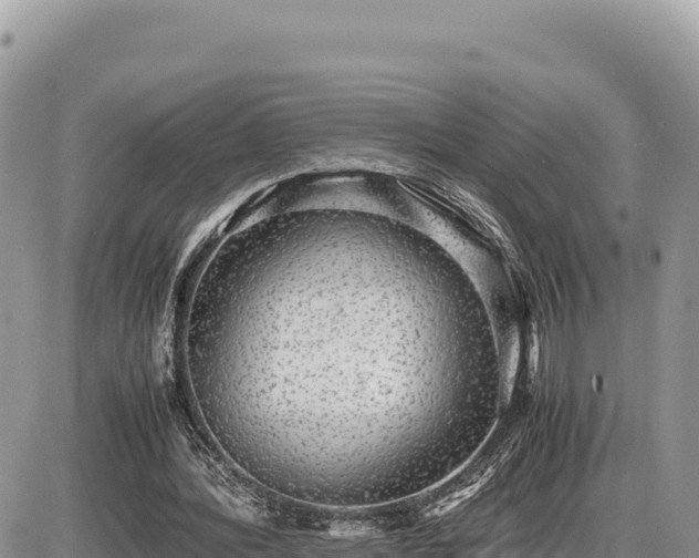 X0000087560388200705041358