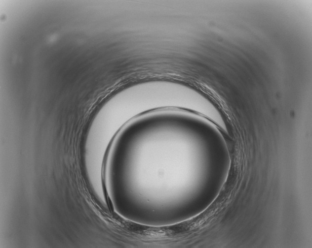 X0000087560405200705041358