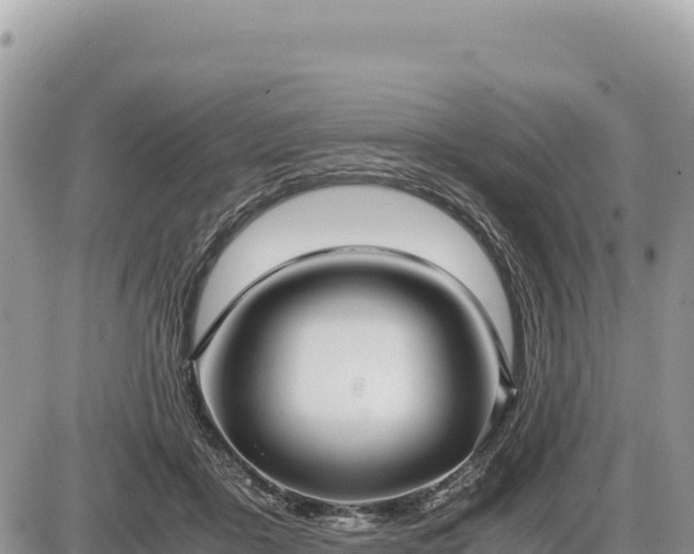 X0000087560411200705041358