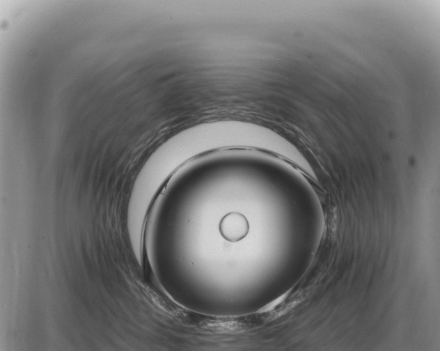 X0000087560428200705041358