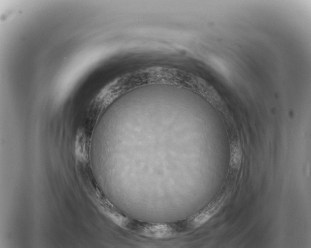 X0000087560431200705041358