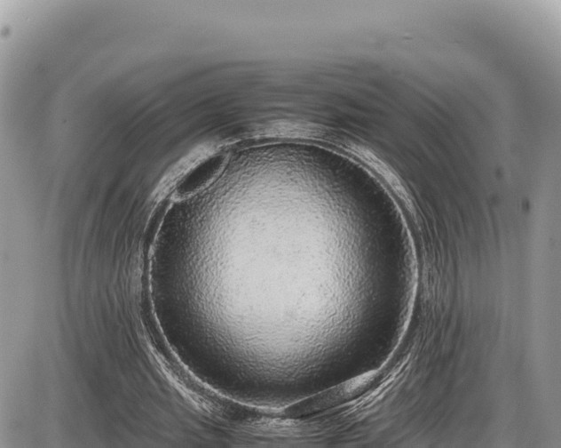 X0000087560437200705041357