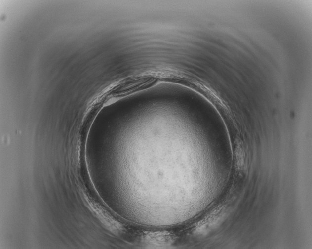 X0000087560446200705041357