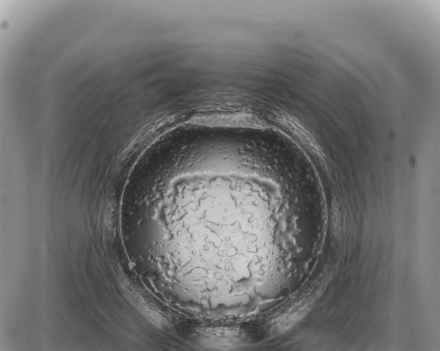 X0000087560449200705041357