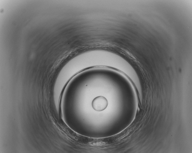 X0000087560452200705041357