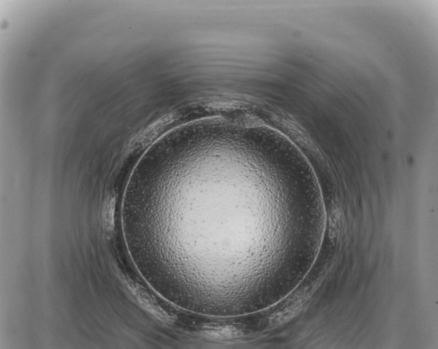 X0000087560454200705041357