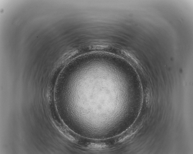 X0000087560455200705041357